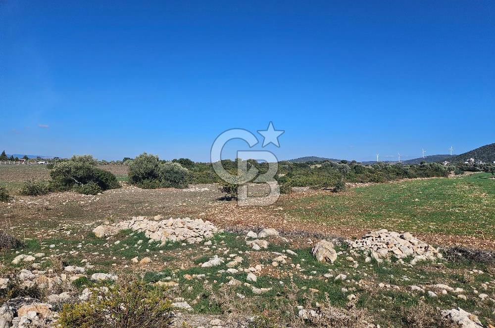 DİDİM SATILIK TARLA 109.000.000 TL DENİZ KÖY MAH