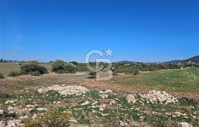 DİDİM SATILIK TARLA 109.000.000 TL DENİZ KÖY MAH