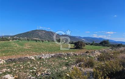 DİDİM SATILIK TARLA 109.000.000 TL DENİZ KÖY MAH