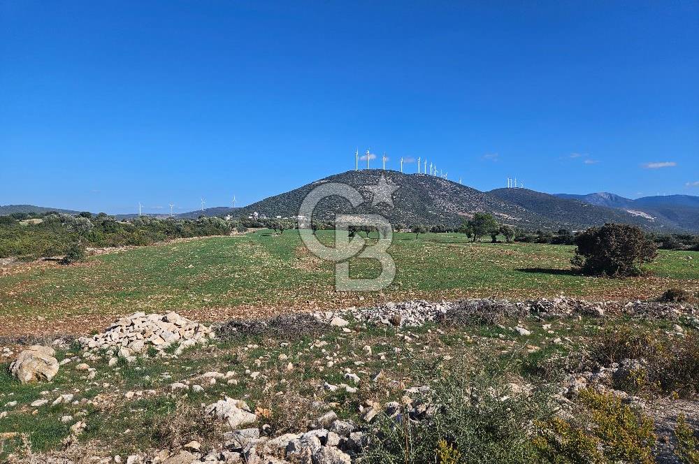 DİDİM SATILIK TARLA 109.000.000 TL DENİZ KÖY MAH