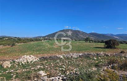 DİDİM SATILIK TARLA 109.000.000 TL DENİZ KÖY MAH