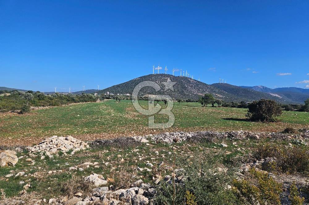 DİDİM SATILIK TARLA 109.000.000 TL DENİZ KÖY MAH