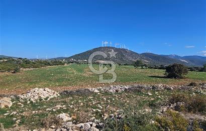 DİDİM SATILIK TARLA 109.000.000 TL DENİZ KÖY MAH