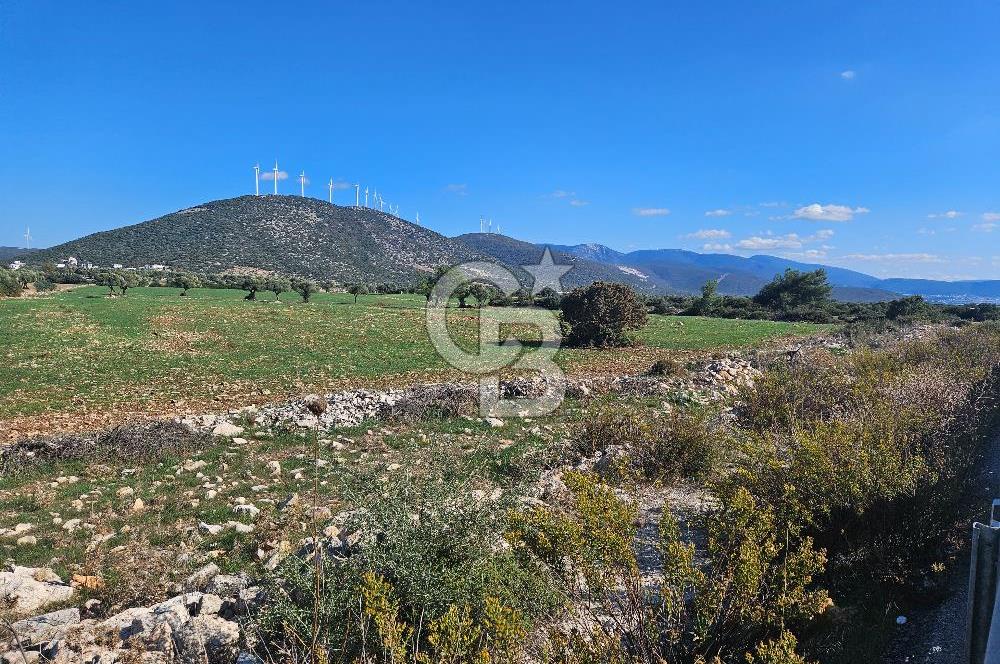 DİDİM SATILIK TARLA 109.000.000 TL DENİZ KÖY MAH