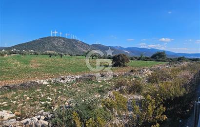 DİDİM SATILIK TARLA 109.000.000 TL DENİZ KÖY MAH