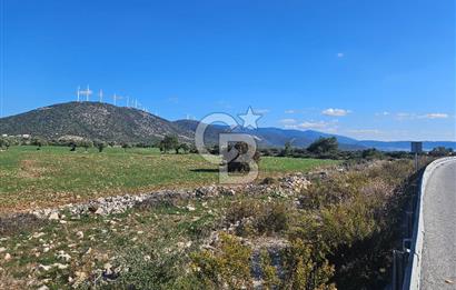 DİDİM SATILIK TARLA 109.000.000 TL DENİZ KÖY MAH