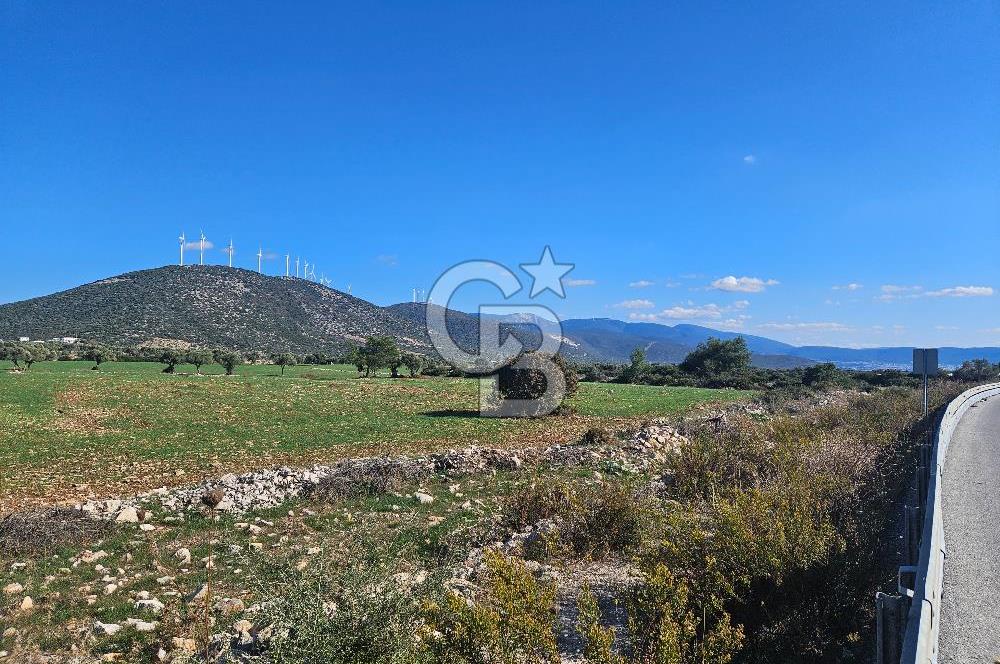 DİDİM SATILIK TARLA 109.000.000 TL DENİZ KÖY MAH