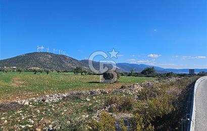 DİDİM SATILIK TARLA 109.000.000 TL DENİZ KÖY MAH