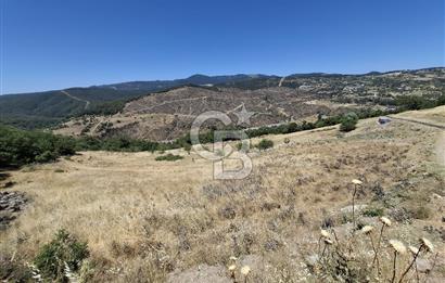 Bornova Beşyol Mahallesinde Satılık Yatırımlık Arsa