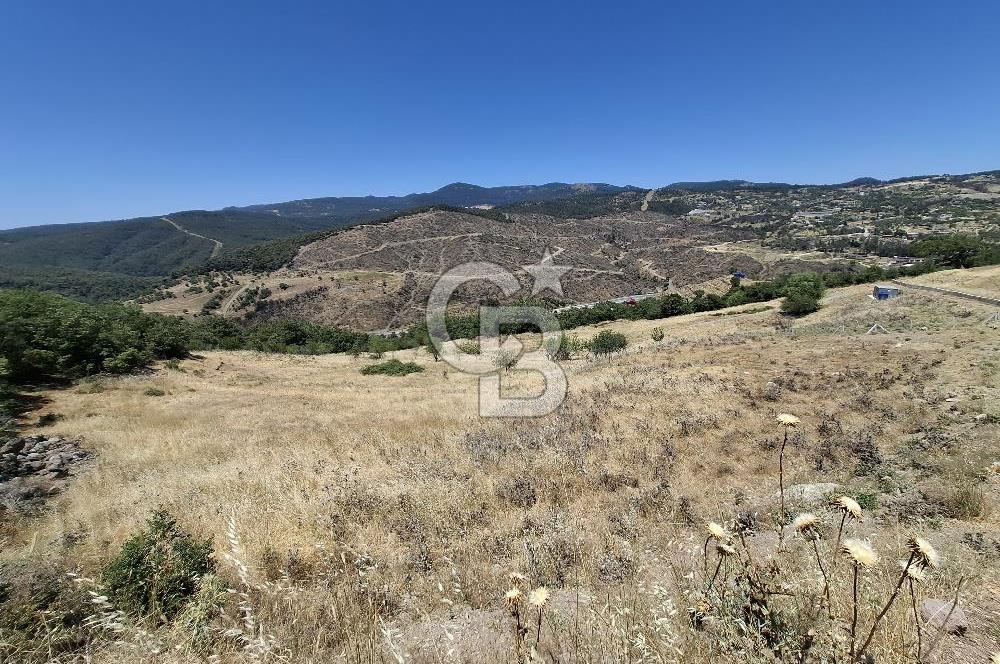 Bornova Beşyol Mahallesinde Satılık Yatırımlık Arsa