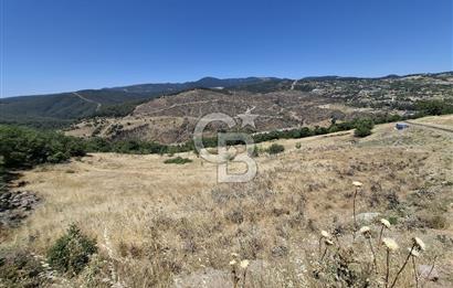 Bornova Beşyol Mahallesinde Satılık Yatırımlık Arsa