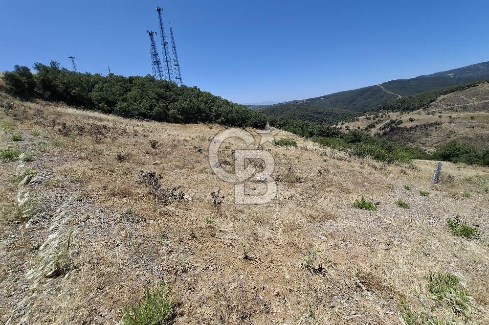 Bornova Beşyol Mahallesinde Satılık Yatırımlık Arsa