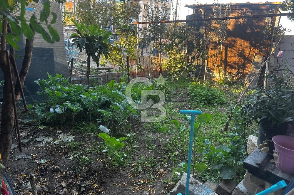 Harmandalıda satılık müsta