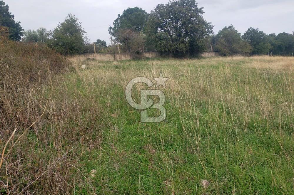 ÇANAKKALE MERKEZ IŞIKLAR MEVKİİ TİCARİ İMARLI 3.400 m² ARSA