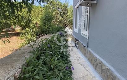 PALAMUTBÜKÜ’NDE YILLIK KİRALIK 2+1 – DENİZE YÜRÜYÜŞ MESAFESİ | TEMİZ & EŞYALI