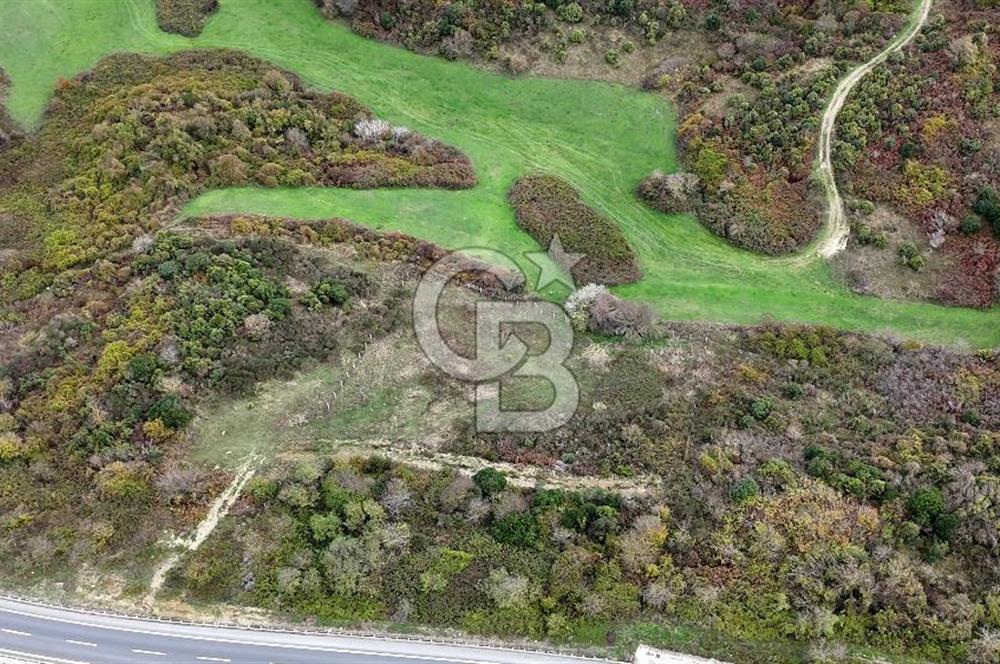 Arnavutköy Boyalıkta Yola Sıfır Ticari Arsa Kanal İstanbul