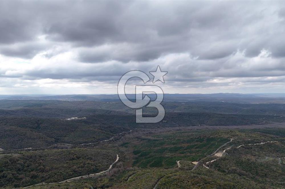 Arnavutköy Boyalıkta Yola Sıfır Ticari Arsa Kanal İstanbul