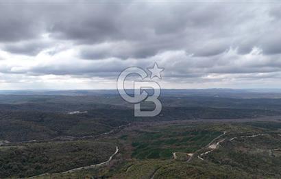 Arnavutköy Boyalıkta Yola Sıfır Ticari Arsa Kanal İstanbul