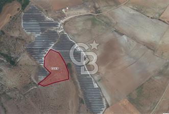 CB''DAN BİLECİK SÖĞÜT ZEMZEMİYE 11.380 M2 MÜSTAKİL SATILIK ARSA - 1 - 315832