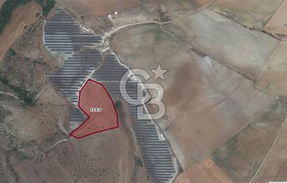 CB''DAN BİLECİK SÖĞÜT ZEMZEMİYE 11.380 M2 MÜSTAKİL SATILIK ARSA