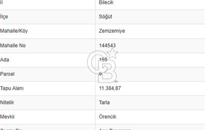 CB''DAN BİLECİK SÖĞÜT ZEMZEMİYE 11.380 M2 MÜSTAKİL SATILIK ARSA