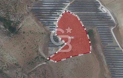 CB''DAN BİLECİK SÖĞÜT ZEMZEMİYE 11.380 M2 MÜSTAKİL SATILIK ARSA