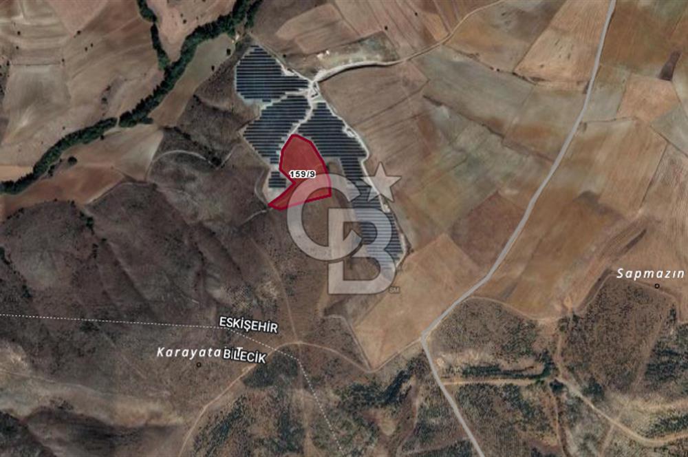 CB''DAN BİLECİK SÖĞÜT ZEMZEMİYE 11.380 M2 MÜSTAKİL SATILIK ARSA