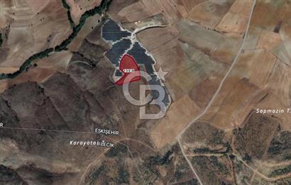 CB''DAN BİLECİK SÖĞÜT ZEMZEMİYE 11.380 M2 MÜSTAKİL SATILIK ARSA