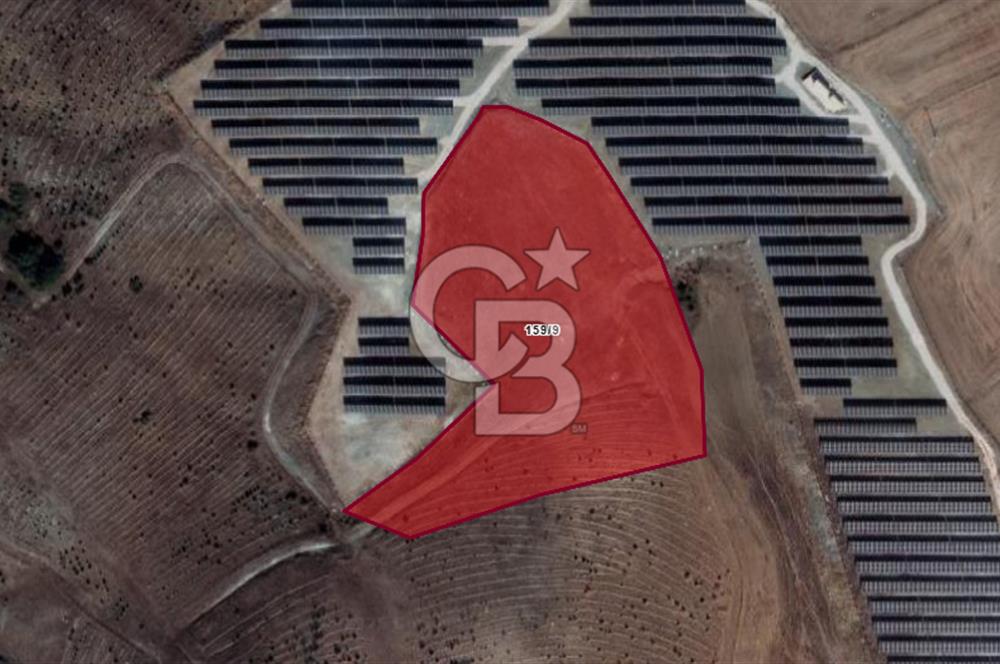 CB''DAN BİLECİK SÖĞÜT ZEMZEMİYE 11.380 M2 MÜSTAKİL SATILIK ARSA