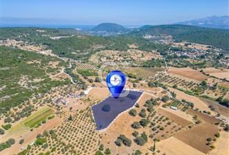 URLA OVACIK'ta 10.297 M2 SATILIK TARLA - 3 - 315807