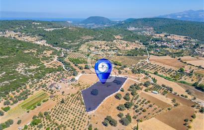 URLA OVACIK'ta 10.297 M2 SATILIK TARLA