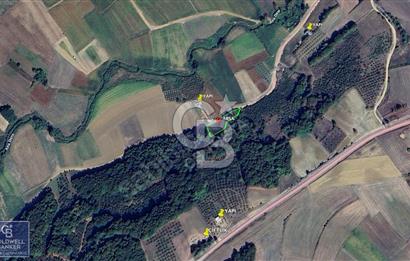 KANDIRA ÖMERLİ MAH. 1223 M2 RESMİ YOLLU %5 İMARLI SATILIK TARLA