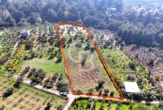 İZMİR BUCA DOĞANCILAR KÖYE YAKIN TEK TAPU 7168 m2 SATILIK TARLA - 4 - 315760