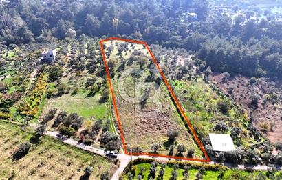 İZMİR BUCA DOĞANCILAR KÖYE YAKIN TEK TAPU 7168 m2 SATILIK TARLA