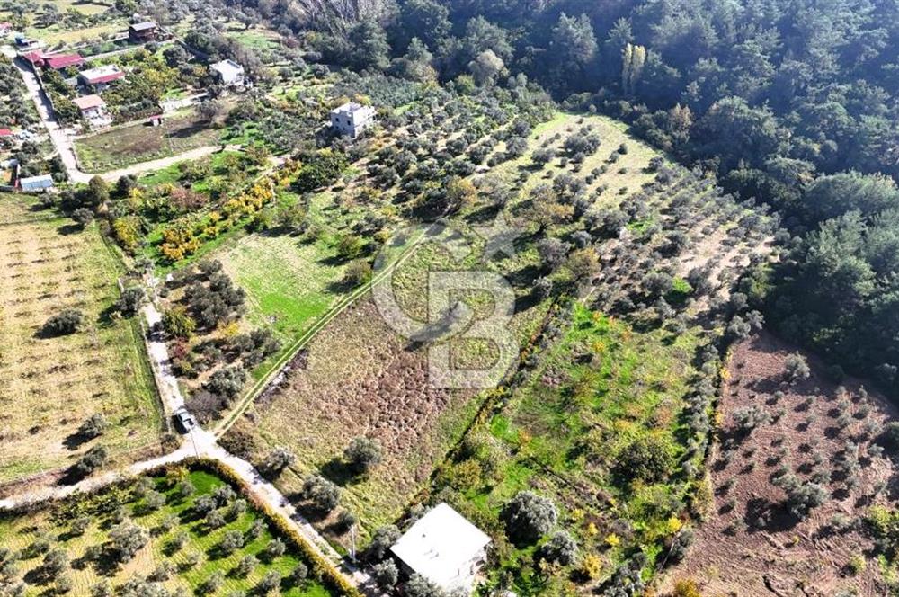 İZMİR BUCA DOĞANCILAR KÖYE YAKIN TEK TAPU 7168 m2 SATILIK TARLA