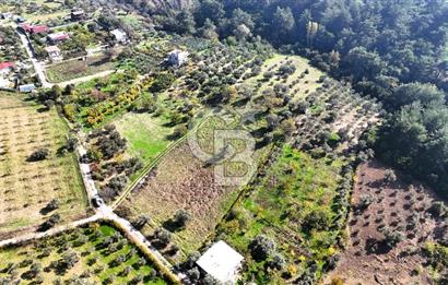 İZMİR BUCA DOĞANCILAR KÖYE YAKIN TEK TAPU 7168 m2 SATILIK TARLA