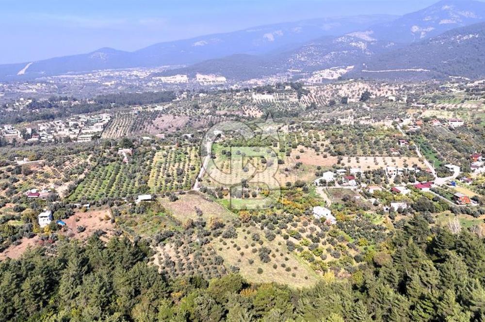 İZMİR BUCA DOĞANCILAR KÖYE YAKIN TEK TAPU 7168 m2 SATILIK TARLA