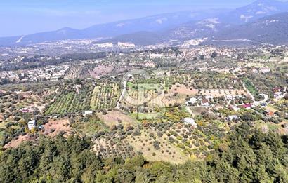 İZMİR BUCA DOĞANCILAR KÖYE YAKIN TEK TAPU 7168 m2 SATILIK TARLA