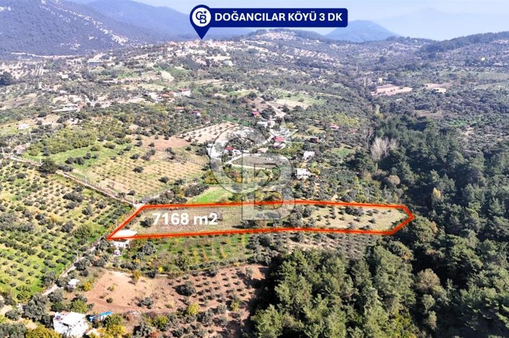 İZMİR BUCA DOĞANCILAR KÖYE YAKIN TEK TAPU 7168 m2 SATILIK TARLA