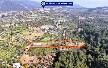 İZMİR BUCA DOĞANCILAR KÖYE YAKIN TEK TAPU 7168 m2 SATILIK TARLA