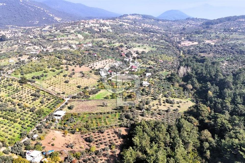 İZMİR BUCA DOĞANCILAR KÖYE YAKIN TEK TAPU 7168 m2 SATILIK TARLA