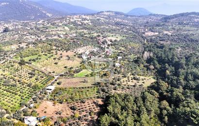 İZMİR BUCA DOĞANCILAR KÖYE YAKIN TEK TAPU 7168 m2 SATILIK TARLA