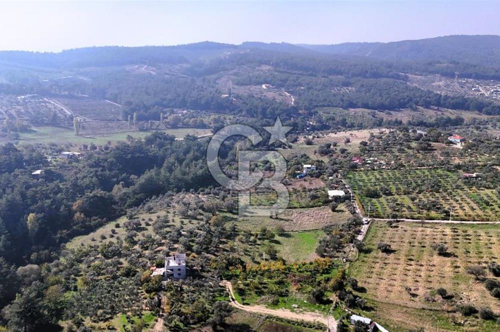 İZMİR BUCA DOĞANCILAR KÖYE YAKIN TEK TAPU 7168 m2 SATILIK TARLA