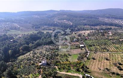 İZMİR BUCA DOĞANCILAR KÖYE YAKIN TEK TAPU 7168 m2 SATILIK TARLA