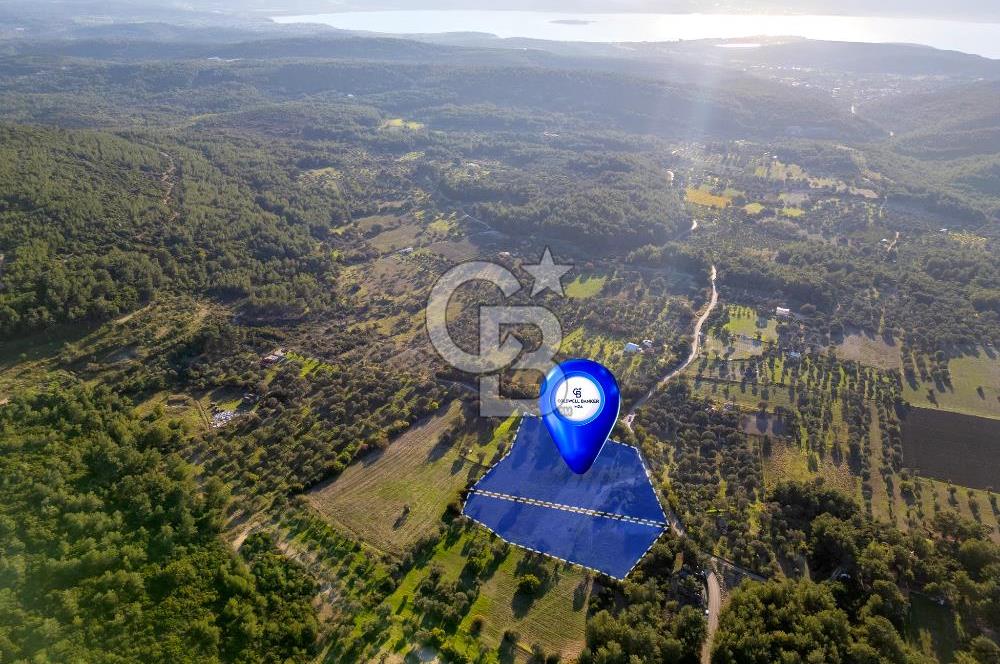 URLA ÖZBEK MAH. TOPLAM 13.341 M2 SATILIK 2 AYRI PARSEL