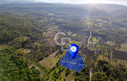 URLA ÖZBEK MAH. TOPLAM 13.341 M2 SATILIK 2 AYRI PARSEL