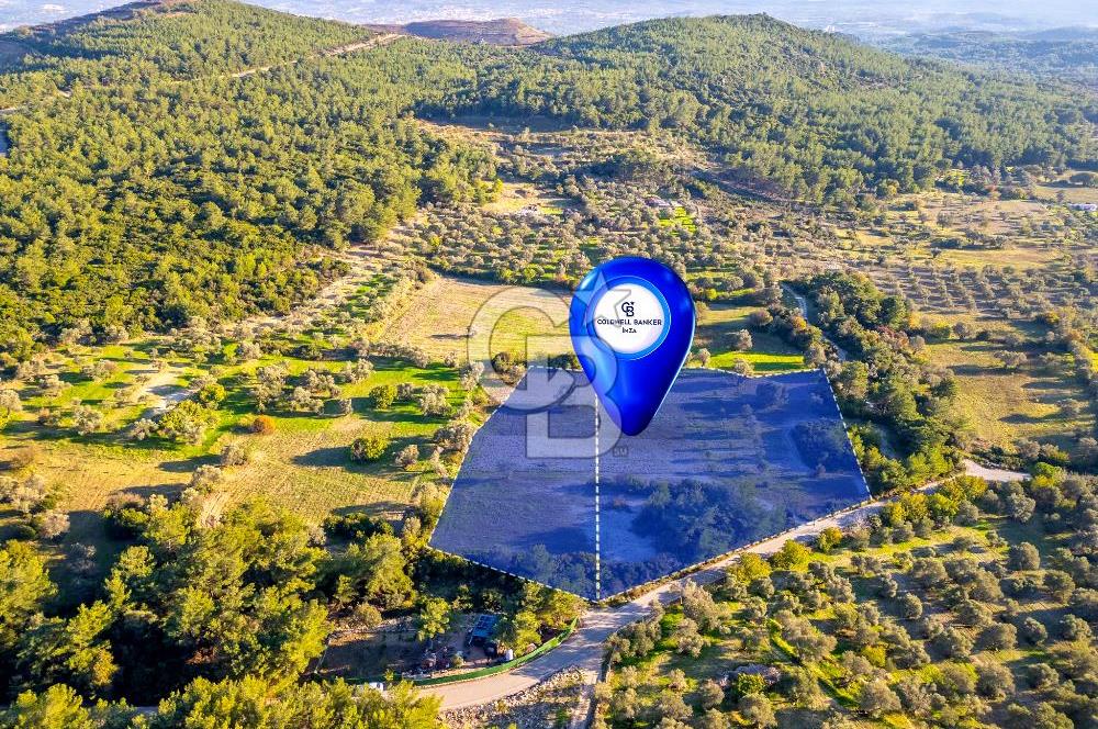 URLA ÖZBEK MAH. TOPLAM 13.341 M2 SATILIK 2 AYRI PARSEL