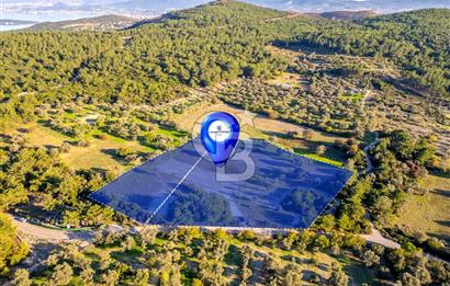 URLA ÖZBEK MAH. TOPLAM 13.341 M2 SATILIK 2 AYRI PARSEL