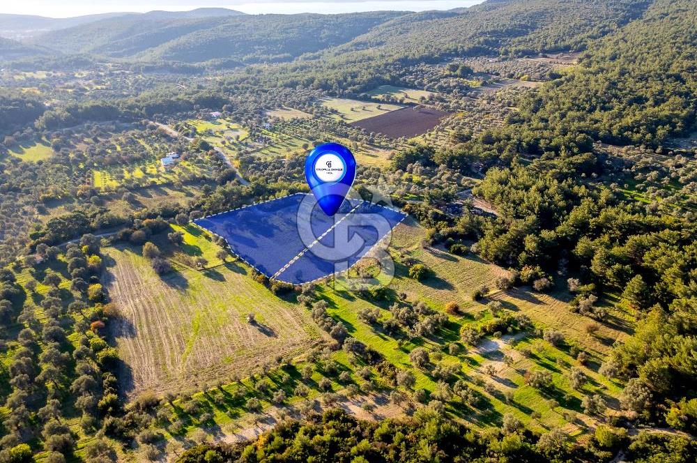 URLA ÖZBEK MAH. TOPLAM 13.341 M2 SATILIK 2 AYRI PARSEL