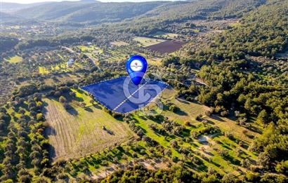 URLA ÖZBEK MAH. TOPLAM 13.341 M2 SATILIK 2 AYRI PARSEL